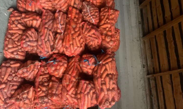 Продам велику моркву - фото № 4