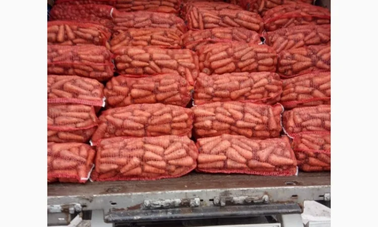 Продам моркву - фото № 1