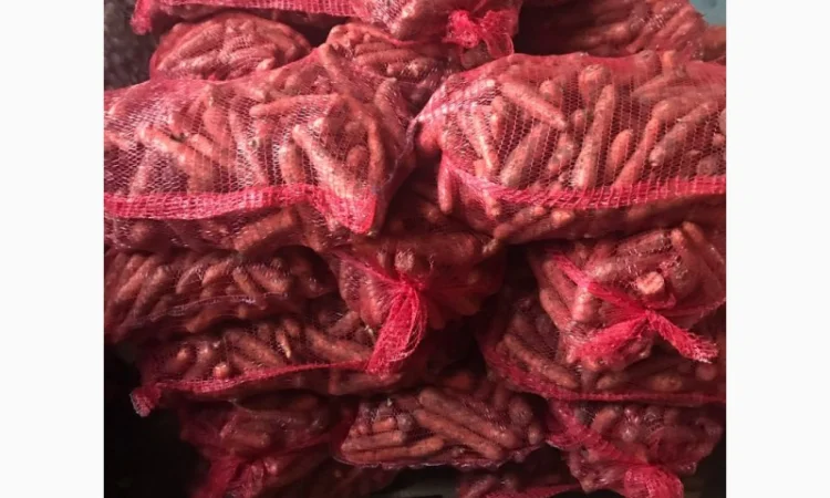 Продам моркву (морковь) по 13 грн! Киев. от 1 тонны - фото № 1