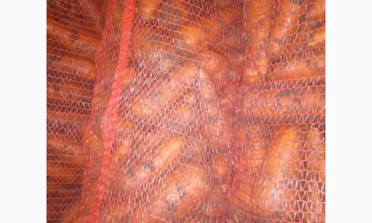 Продам Моркву - фото № 6