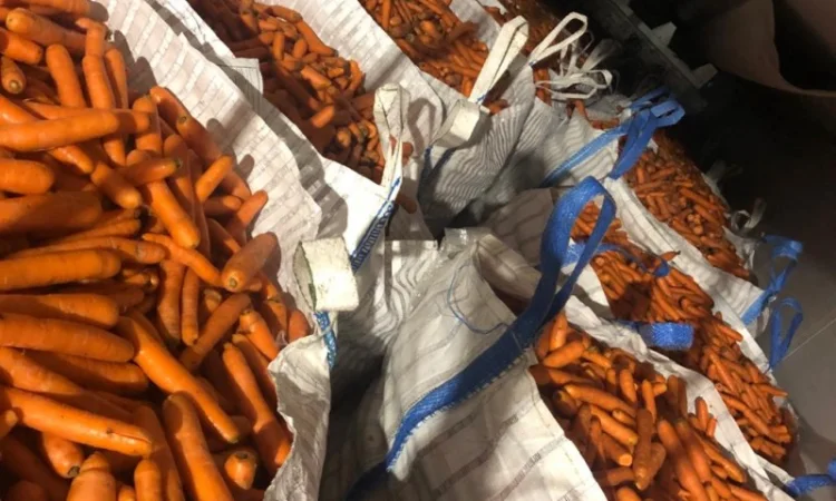 Продам морковь (Нидерланды) 2 сорт в биг бэгах и мешках - фото № 4