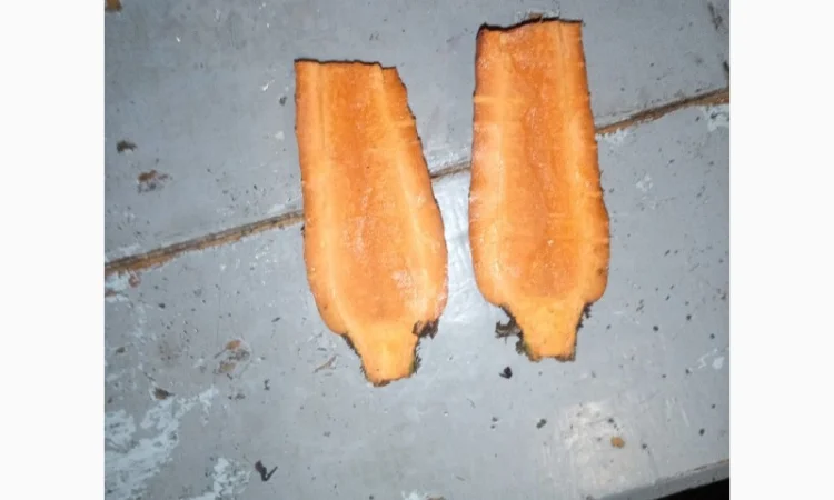 Продам моркву - фото № 1