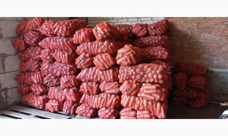 Продам моркву - фото № 1