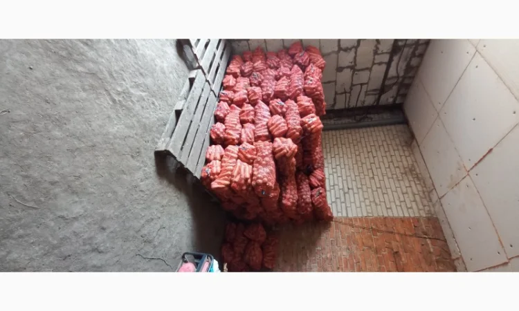 Продам моркву - фото № 2