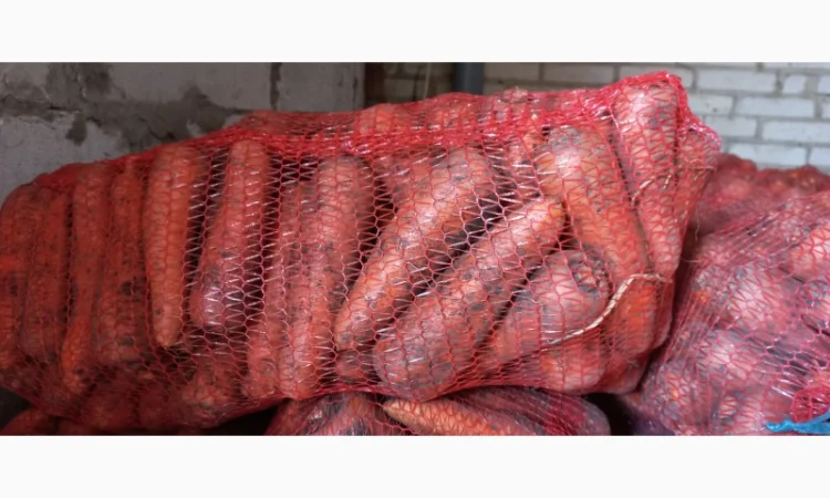 Продам моркву - фото № 3