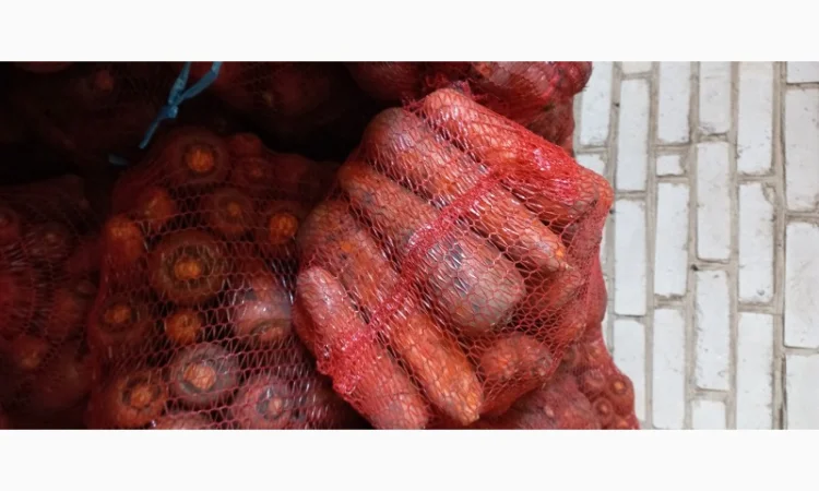 Продам моркву - фото № 4