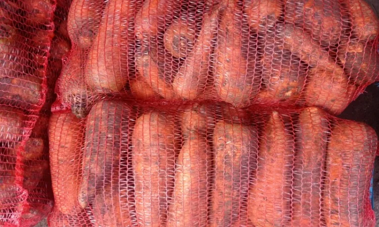 Продам морковь - фото № 1