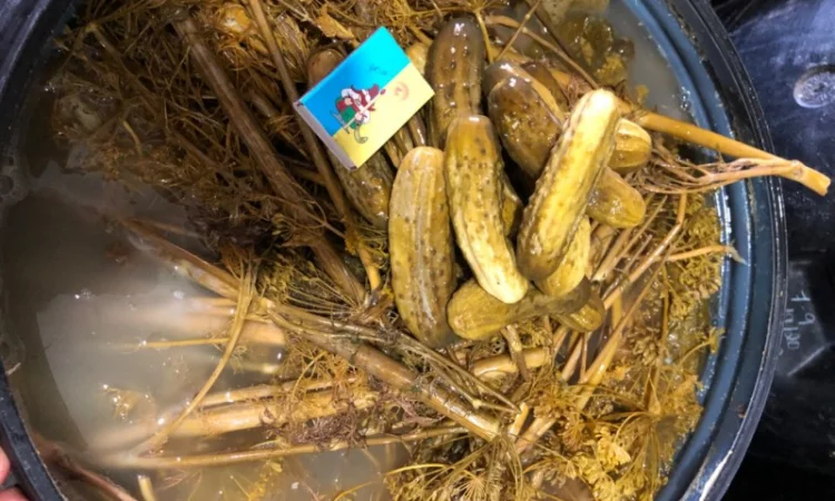 Продам огірок солений(квашений)грунтовий - фото № 3