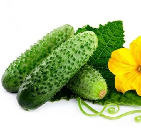 Купуємо огірки - фото № 1