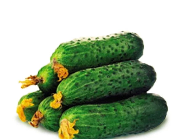 Куплю огурец кориншон, размер 6-9 мм - фото № 1