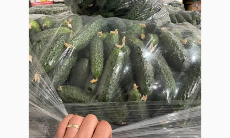 Огурец Румыния - фото № 10