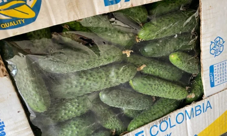 Огірок в об‘ємах можлива доставка - фото № 5