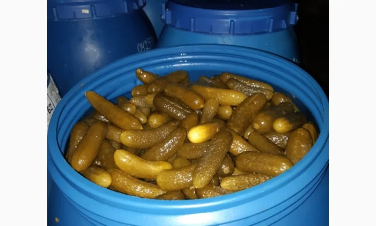 Продам огірок - фото № 1