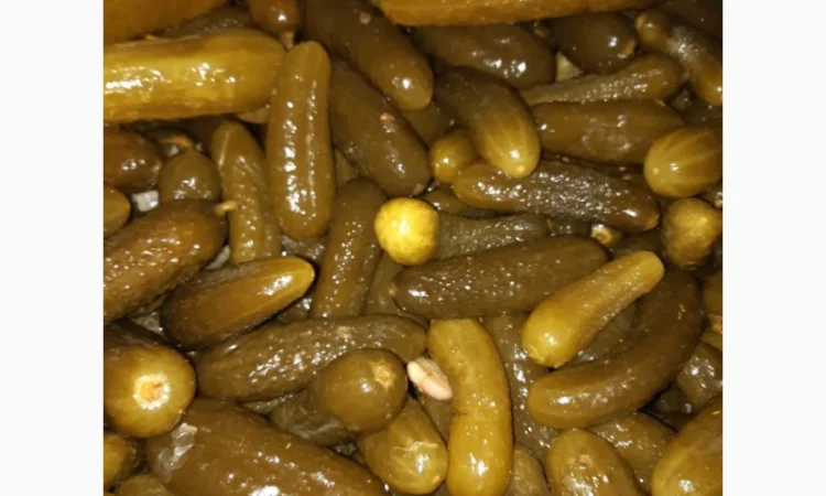 Продам огірок - фото № 2