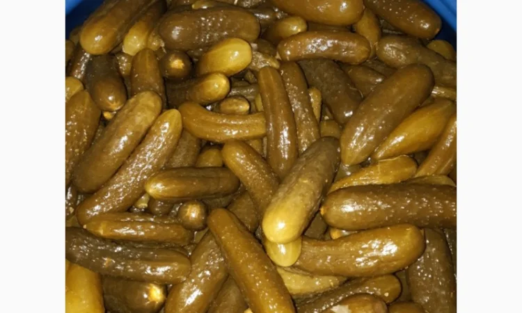 Продам огірок - фото № 4