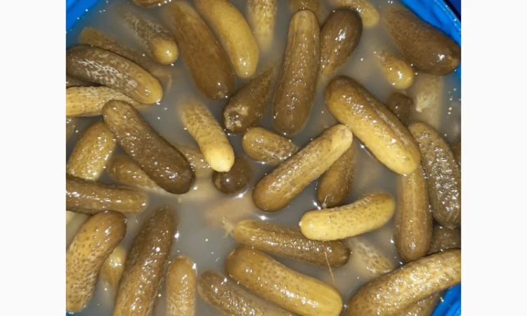 Продам соленый огурец - фото № 1