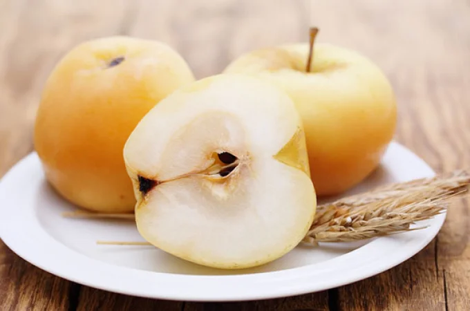 Продам соленый огурец - фото № 3