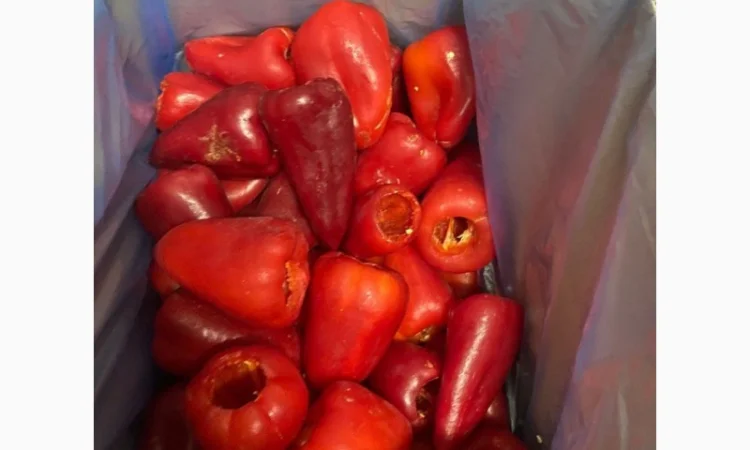 Продам заморожений перець - фото № 1