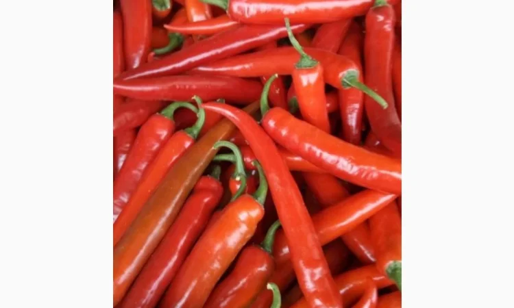 Перець гострий Єгипет - фото № 1
