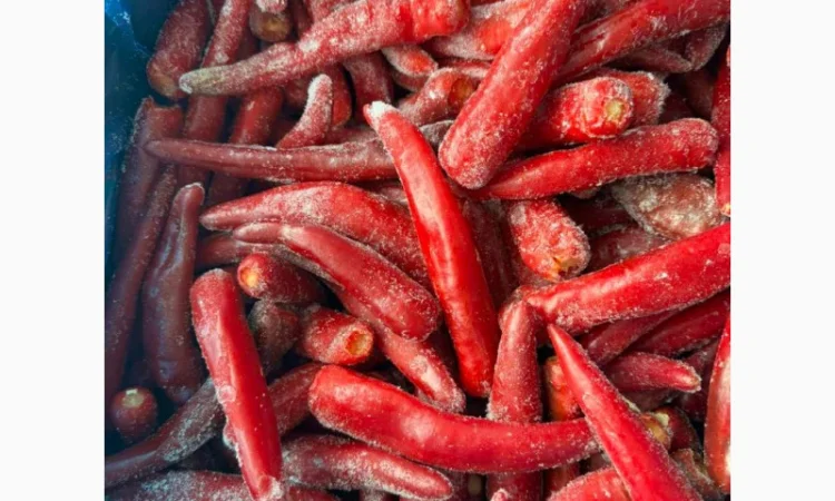 Продаж перцю гострого червоного оптом - фото № 2