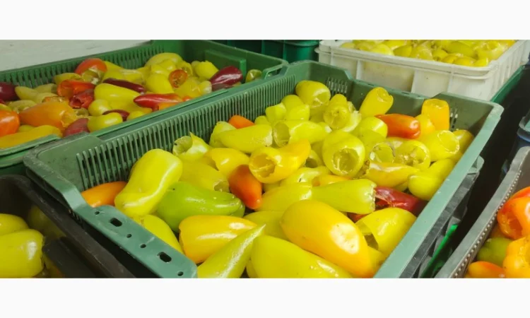 Заморожений перець для фарширування - фото № 2