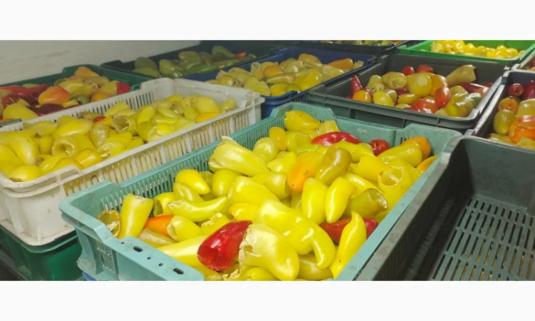 Заморожений перець для фарширування - фото № 4