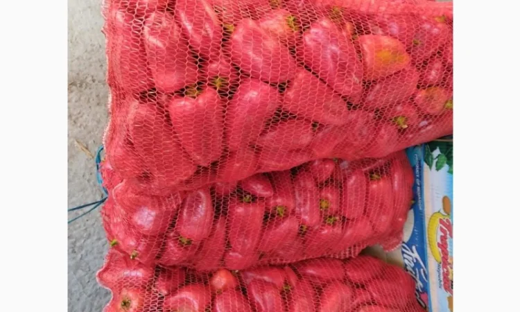 Продам свіжий солодкий перець Полет, Портека, Білозірку 5т - фото № 3