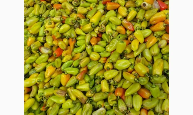 Продам зелений перець на переробку 2т у Новомосковському районі - фото № 2
