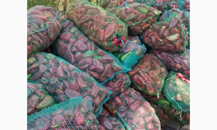 Продам червоний перець - фото № 4