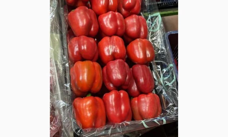Перец экспорт из Турции - фото № 2