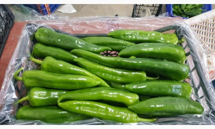 Перец экспорт из Турции - фото № 3