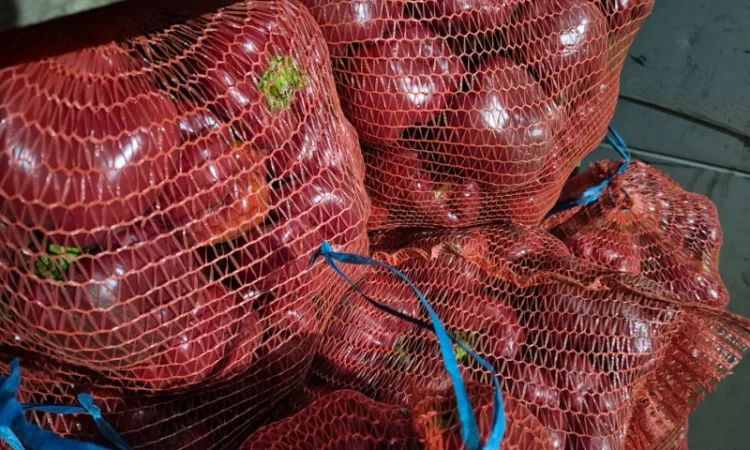 Продаю свіжий перець відмінної якості - фото № 1