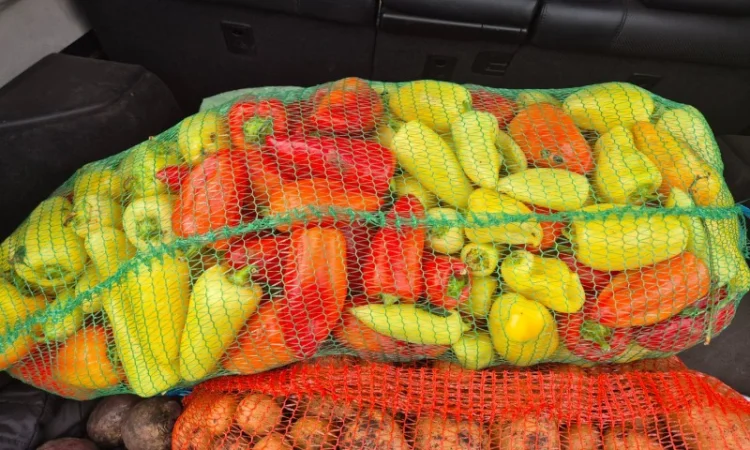 Перец белозерка високої якості на продаж - фото № 1