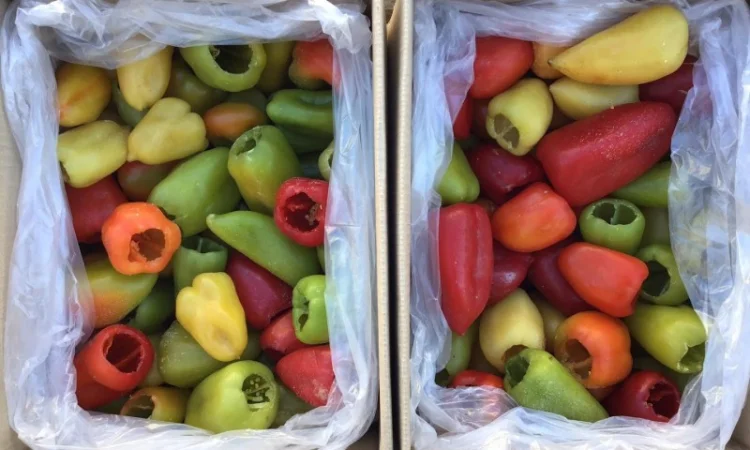 Оптовий продаж перцю замороженого - фото № 1