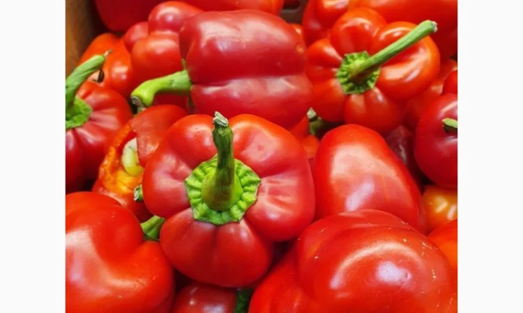 Купимо червоний перець оптом від 10 тон - фото № 1