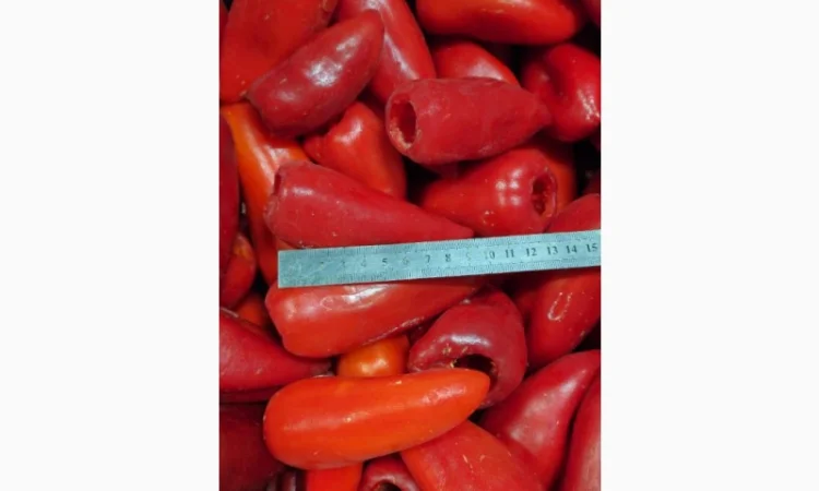 Продам перець червоний заморожений - фото № 1