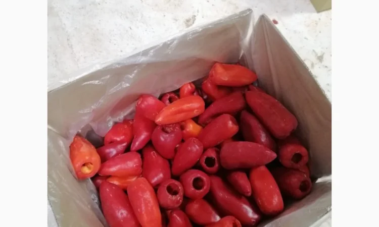 Продам перець червоний заморожений - фото № 2