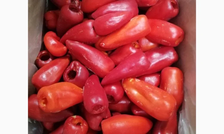 Продам перець червоний заморожений - фото № 6