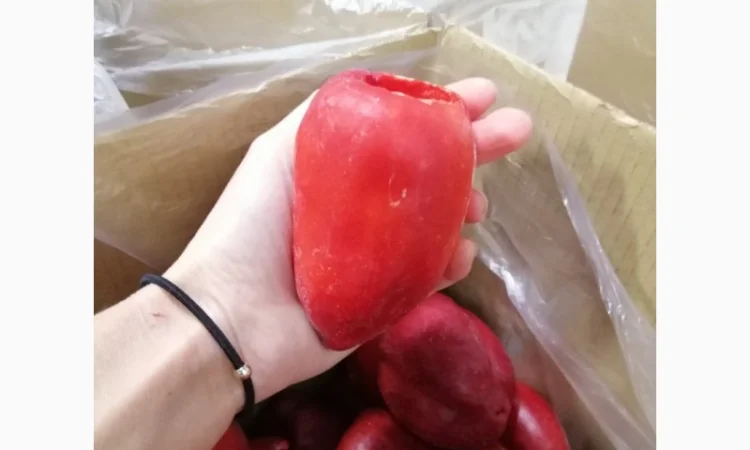 Продам перець червоний цілий заморожений - фото № 10