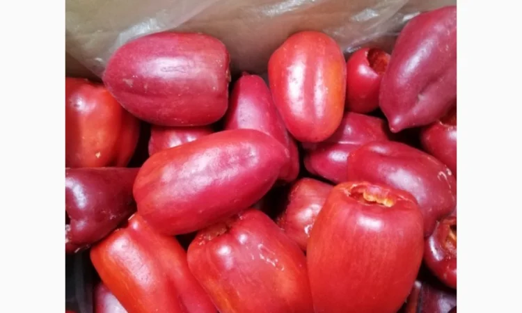 Продам перець червоний цілий заморожений - фото № 13