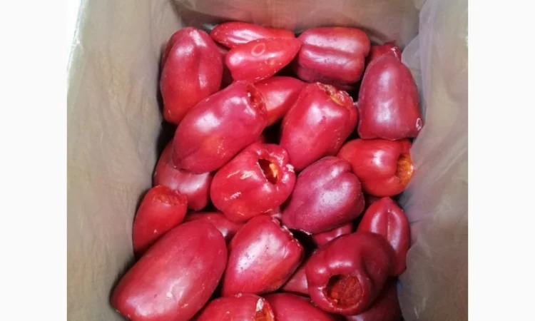 Продам перець червоний цілий заморожений - фото № 14