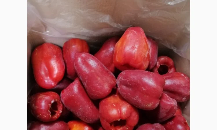 Продам перець червоний цілий заморожений - фото № 3