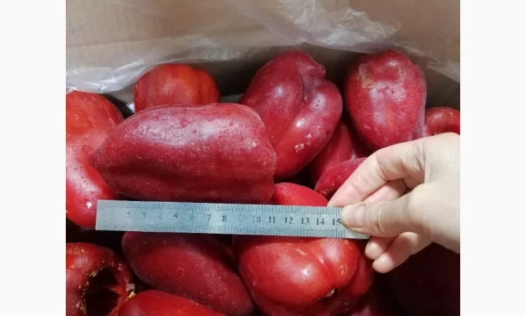 Продам перець червоний цілий заморожений - фото № 4