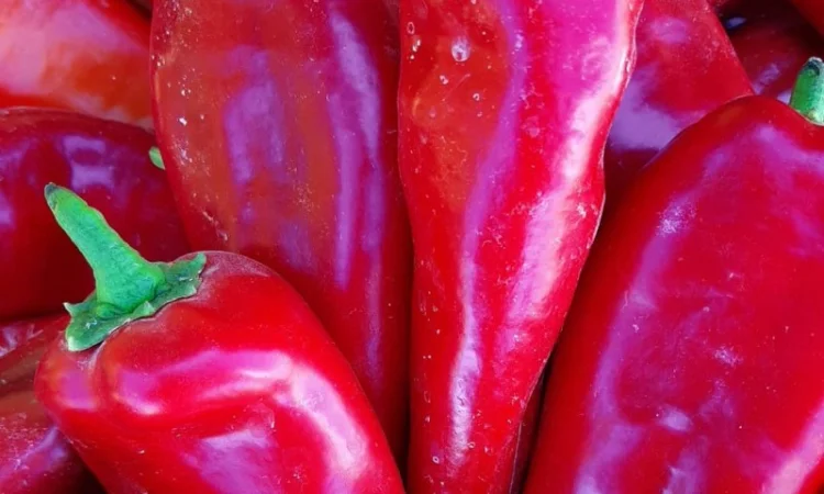 Перец капиа - фото № 5