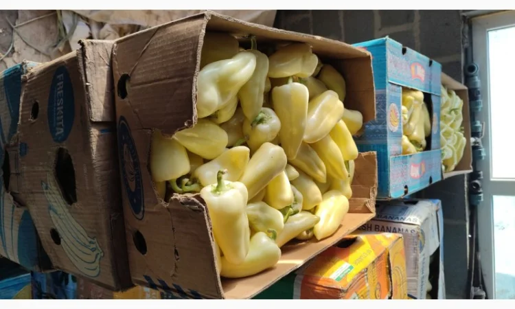 Перець солодкий Геркулес - фото № 2