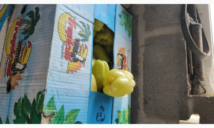 Перець солодкий Геркулес - фото № 4