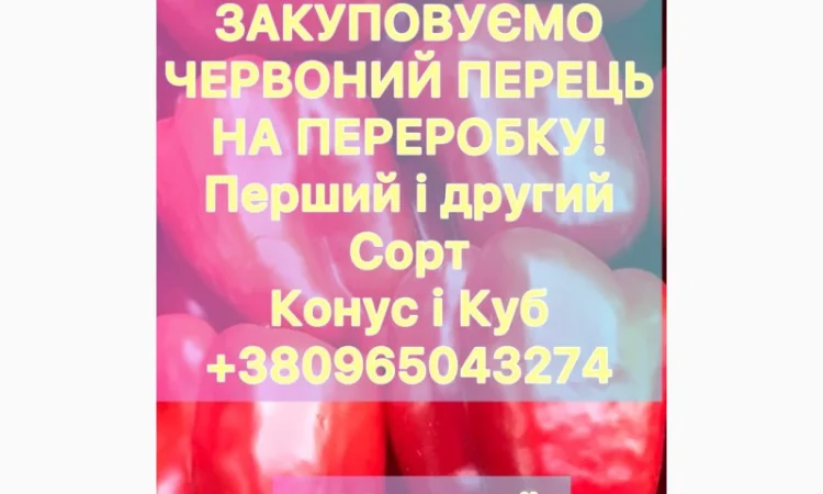Купуємо перець на переробку - фото № 1