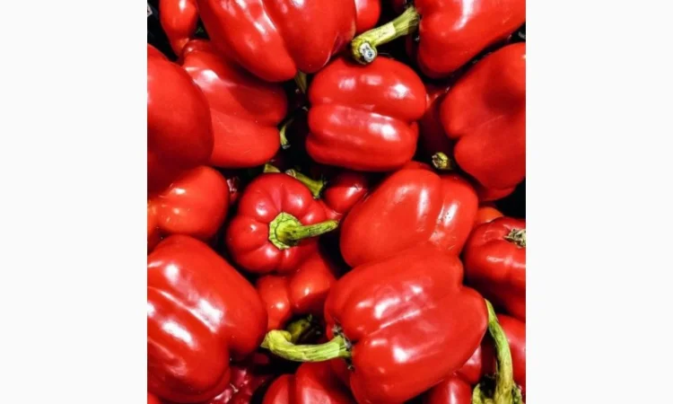 Куплю оптом червоний перець, купляємо по всій Україні - фото № 1