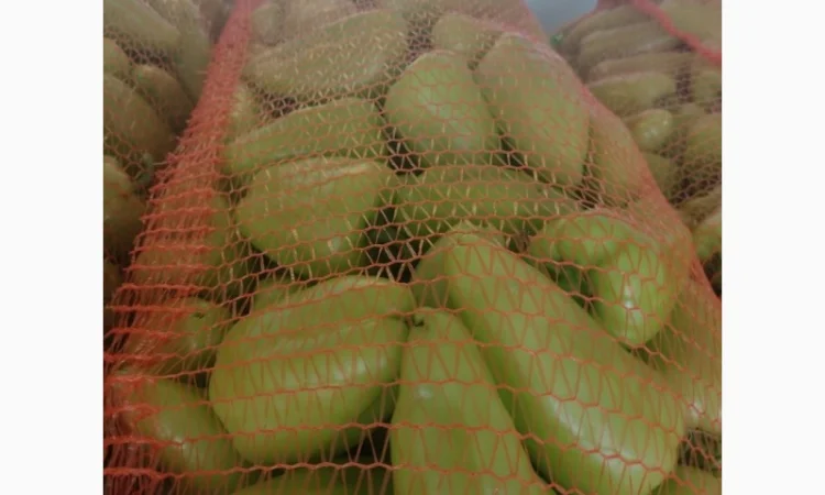 Перец Молдавский - фото № 3