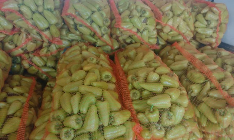 Перец Молдавский - фото № 4